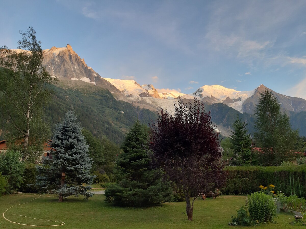 Chalet Chamoniard