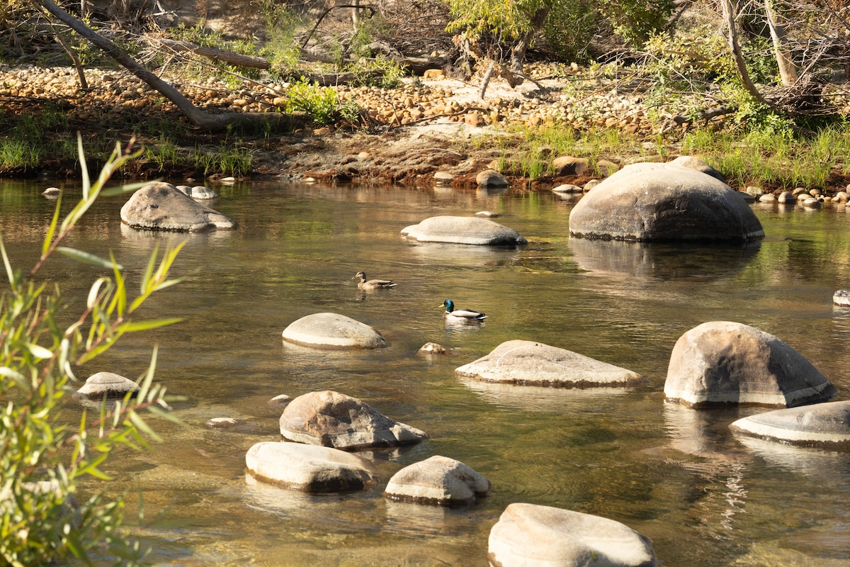 Riverkern Rockhouse: Quaint cottage on the river.