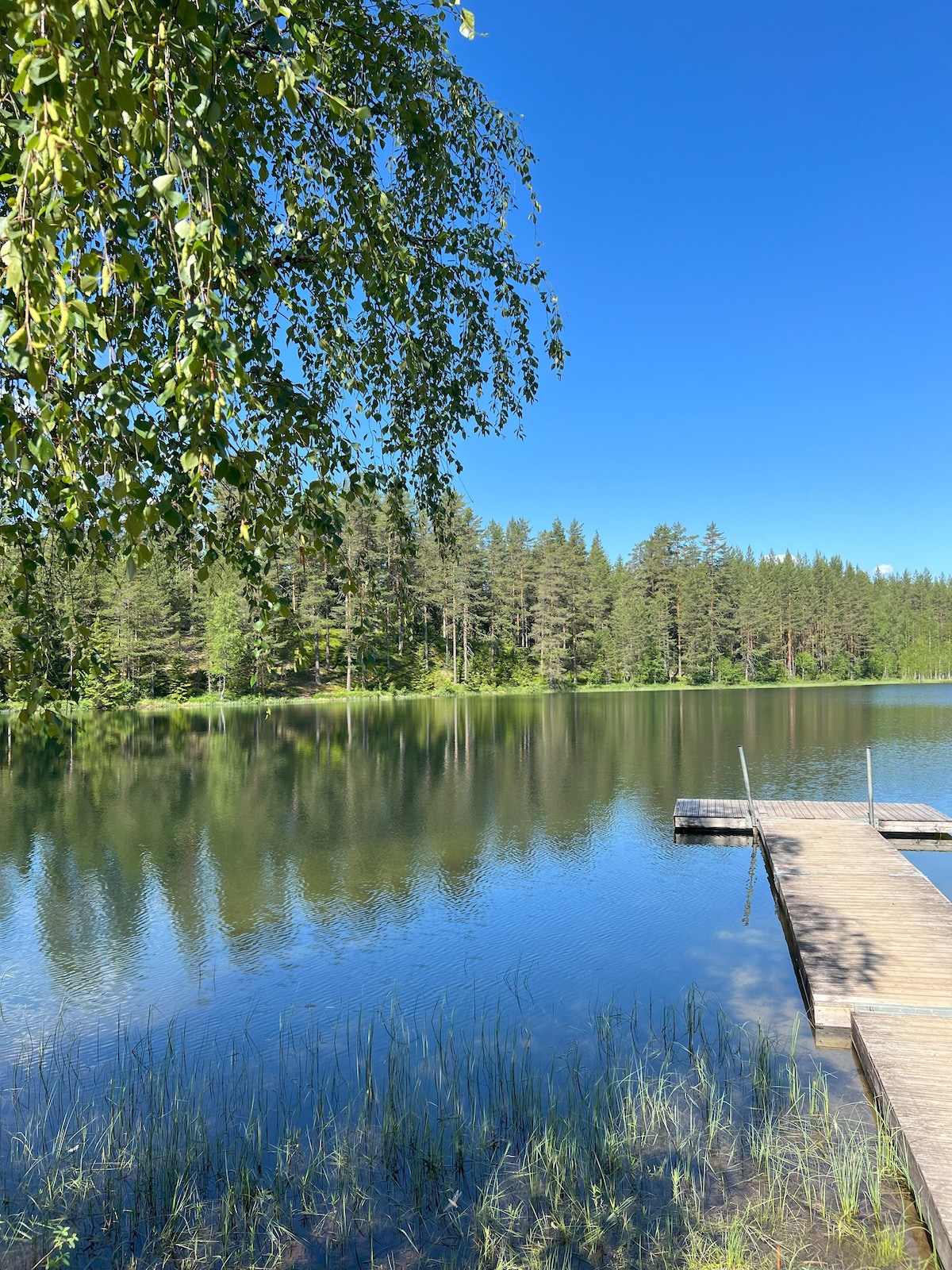 Furukrona - Private Glass Dome, Sauna and Hot Tub!