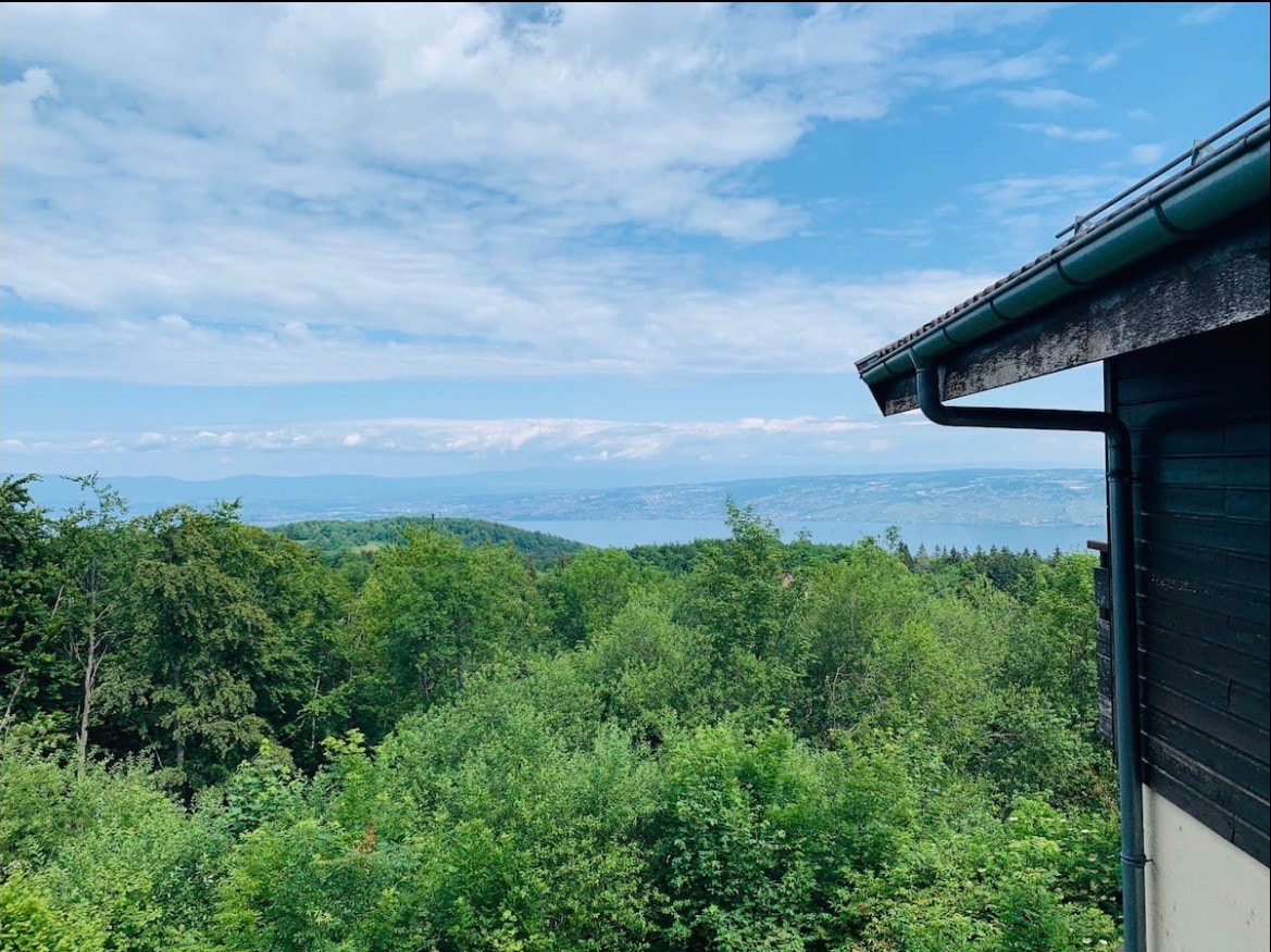 日内瓦湖公寓景观