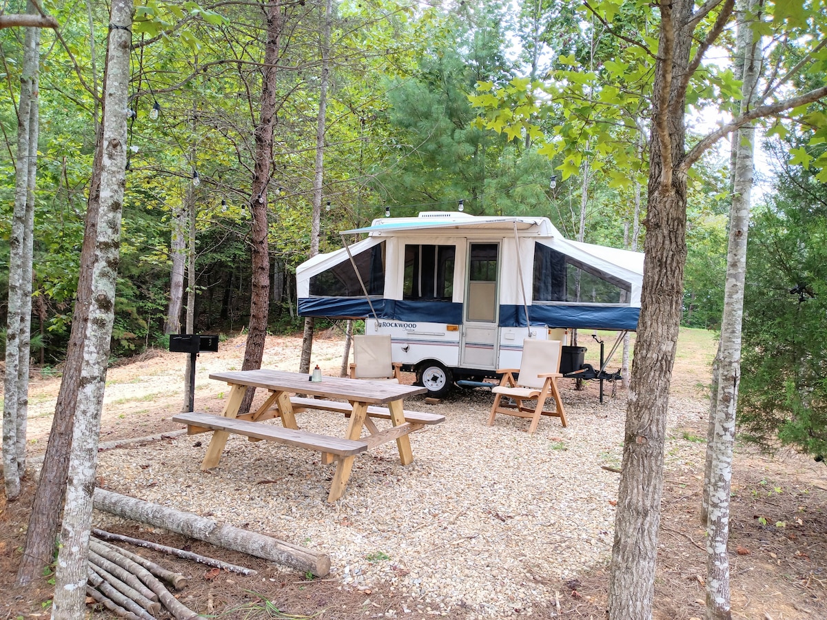 Camp in the Smokies 40 acres with hikes