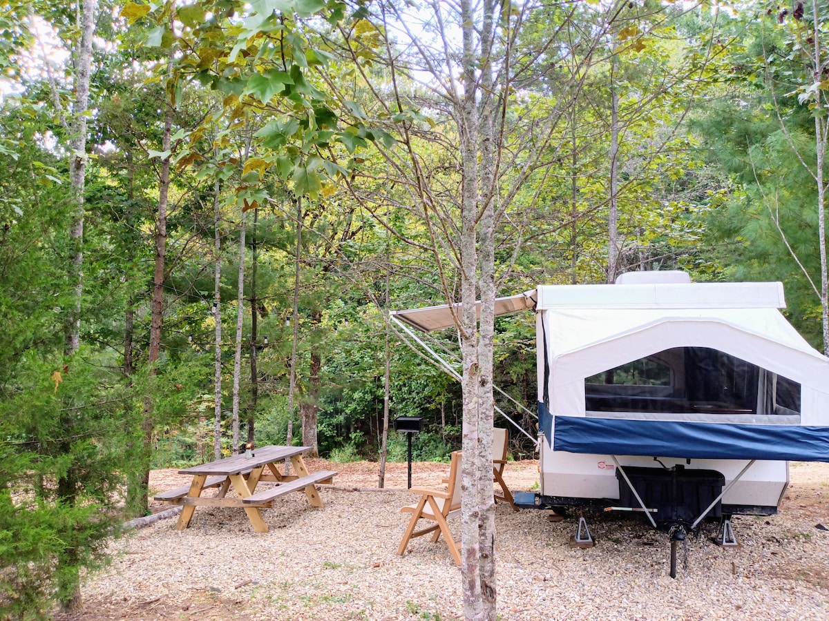 Camp in the Smokies 40 acres with hikes