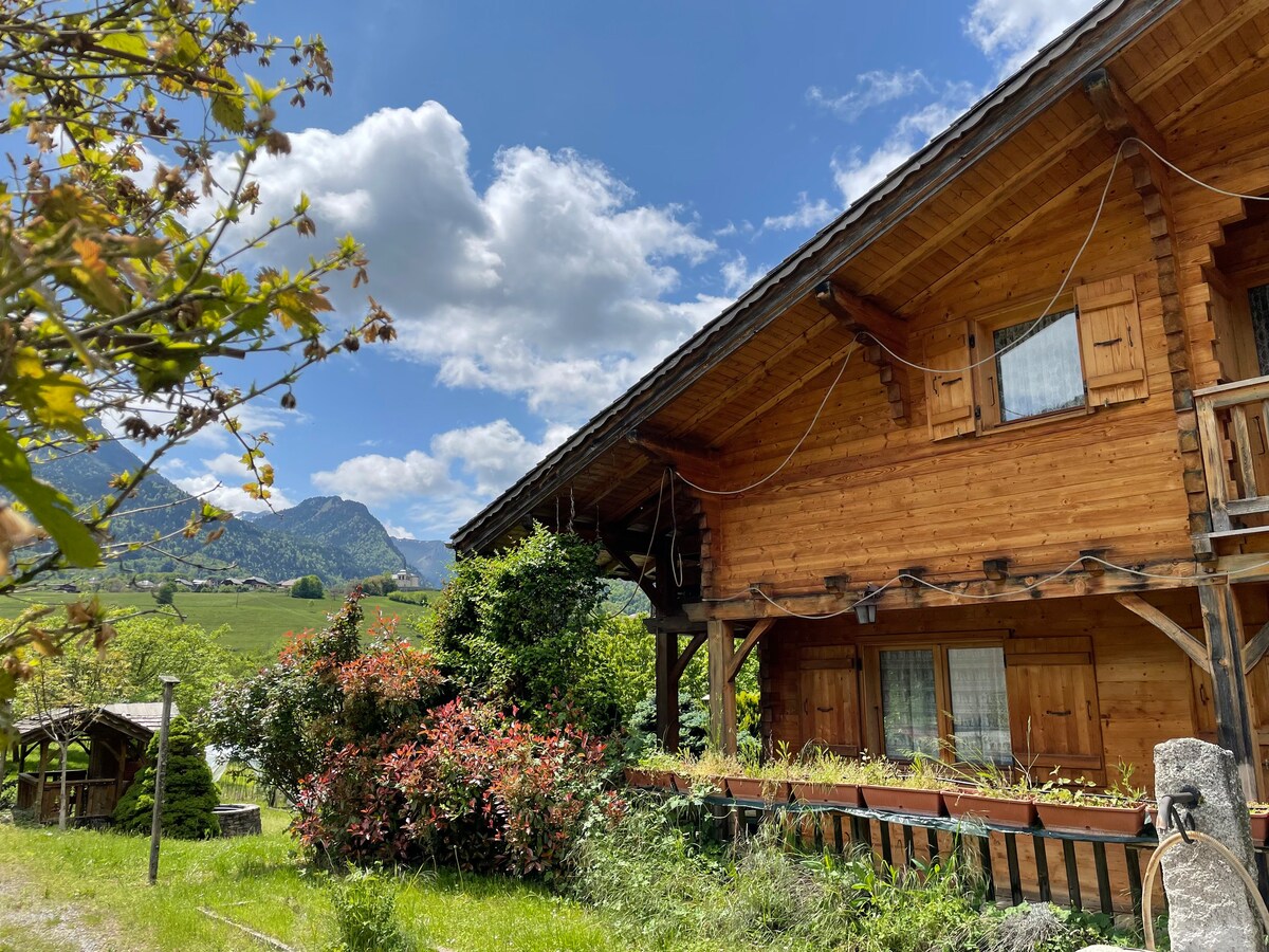 Grand chalet avec vue