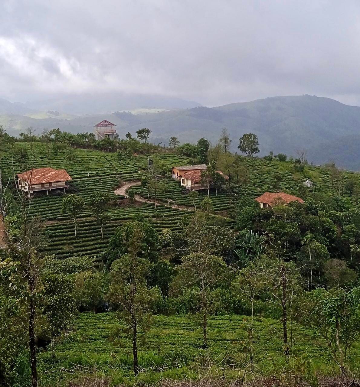 Heritage Farms Kerala