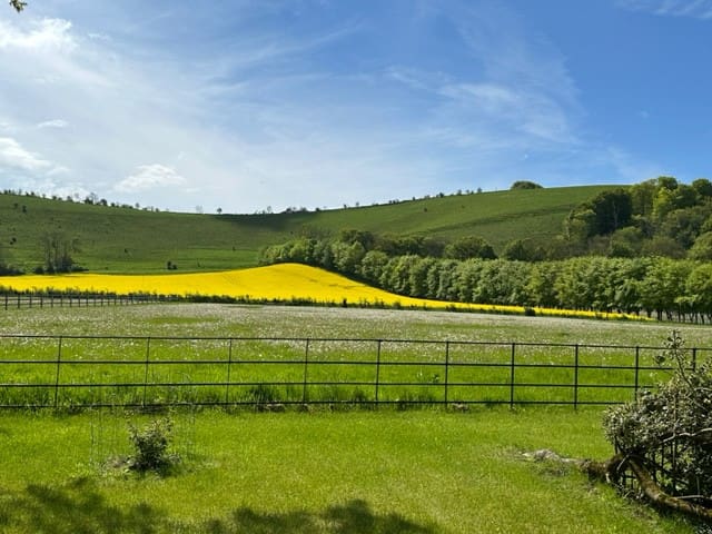 多塞特(Dorset)的民宿