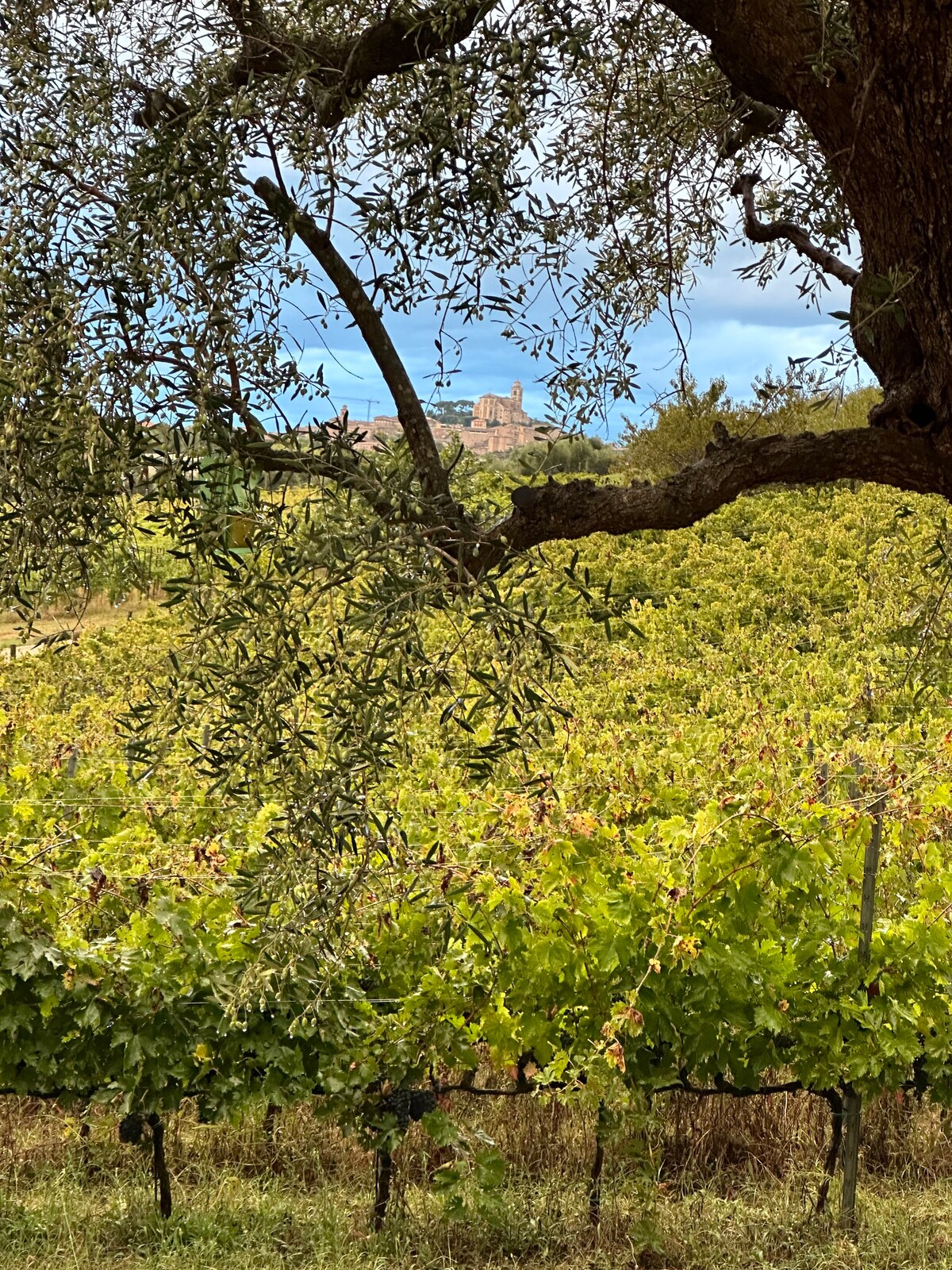 Una casa tra le Vigne