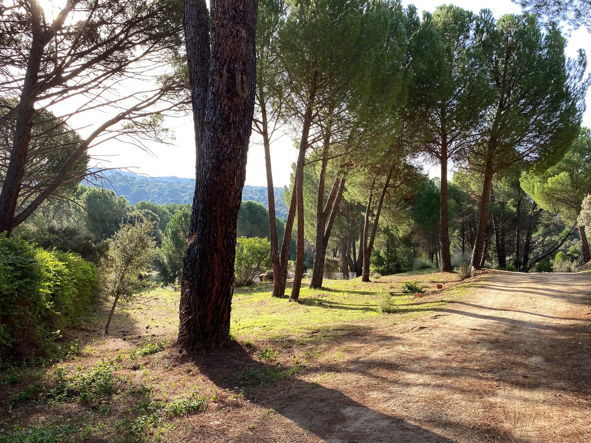 Pool · Paddel · Bbq · 16 pax (Casa Valdesanmartin)