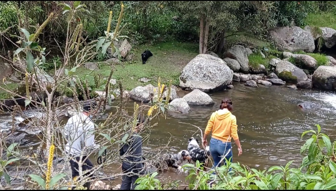 Fabulosa cabaña en Pasca