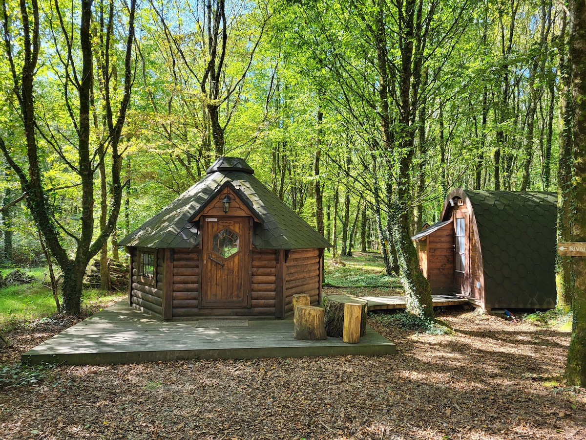 Cabane insolite dans la forêt de Brocéliande