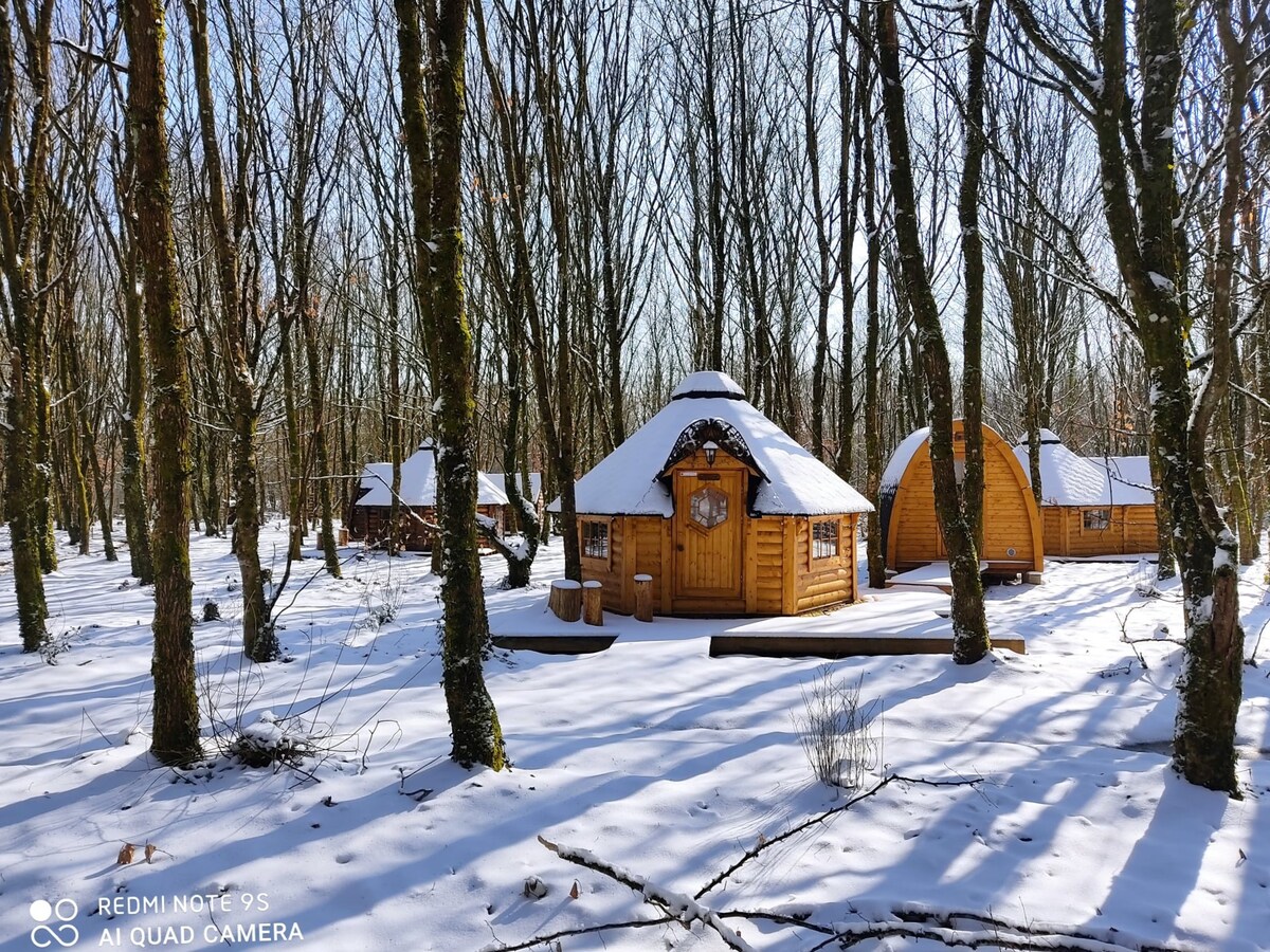 Cabane insolite dans la forêt de Brocéliande