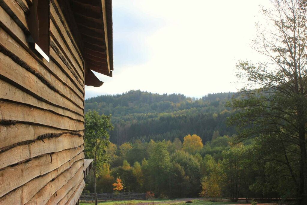 Cabane Terre de feu