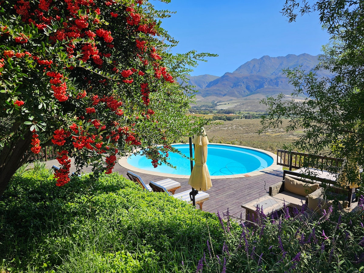 Paradise in the Winelands