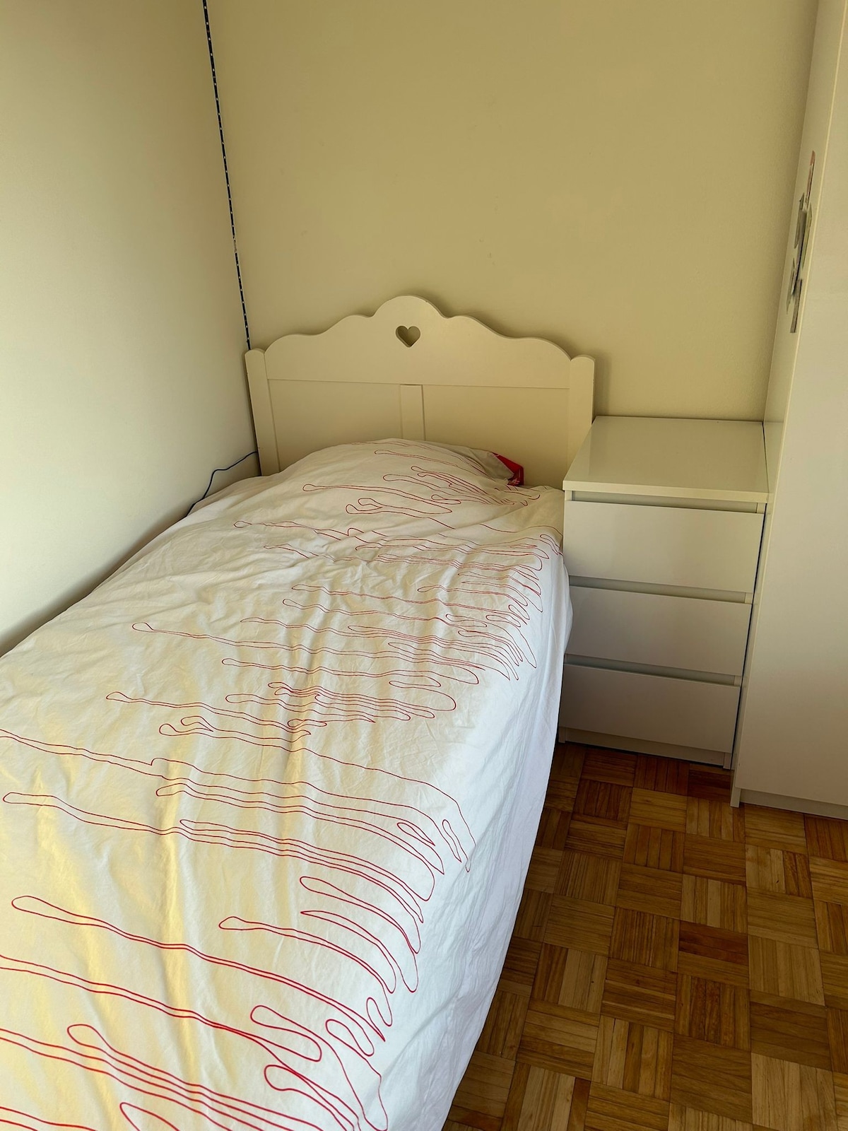 Spacious, Cosy & Private Room - Haarlem Centre
