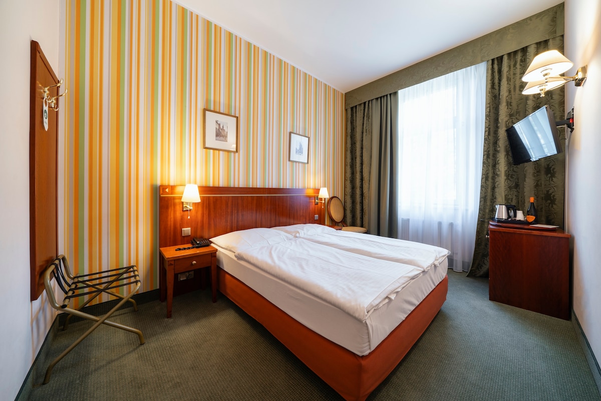 Double Room - Hotel Raffaello