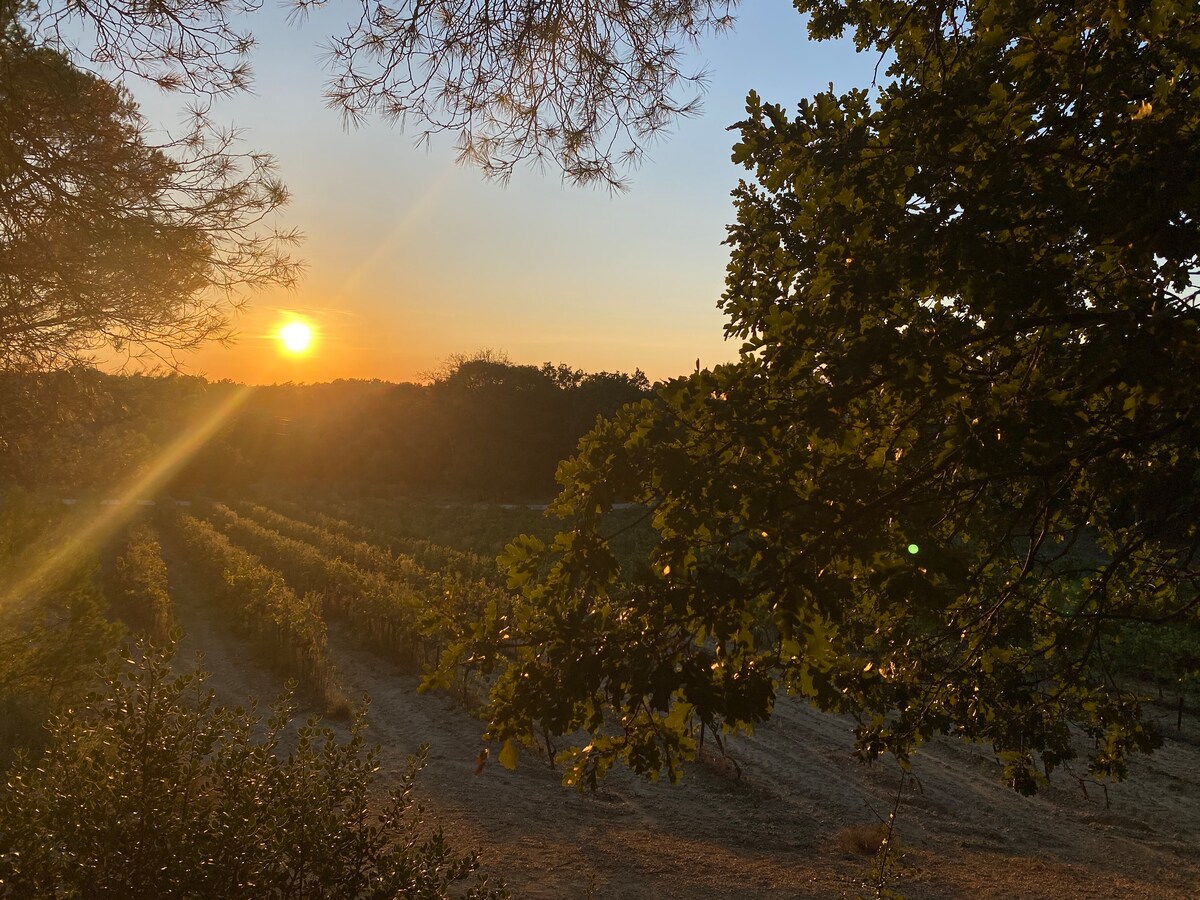 La Ruche aux Vins mille Senteurs - Terres du Sud