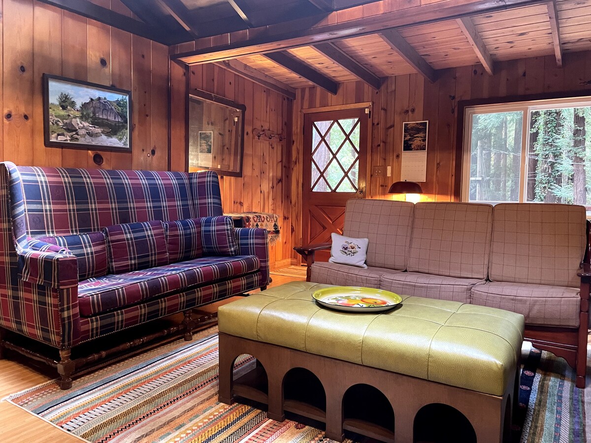 Charming cabin in the Redwoods