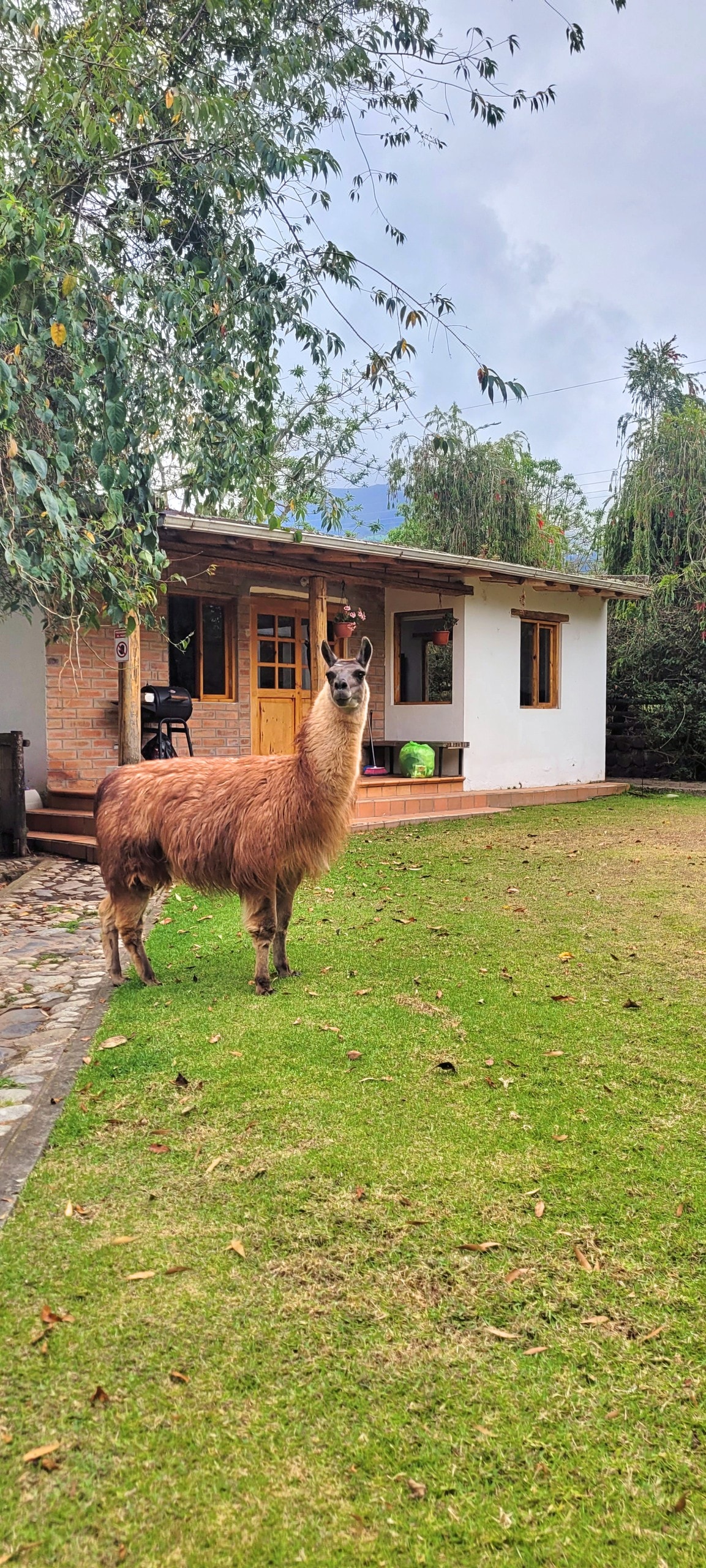 火山脚下的微型住宅