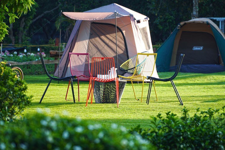 Tent in Farmstay