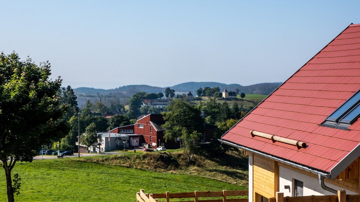 Ferienhaus Mountain View six50 mit Sauna und Kamin