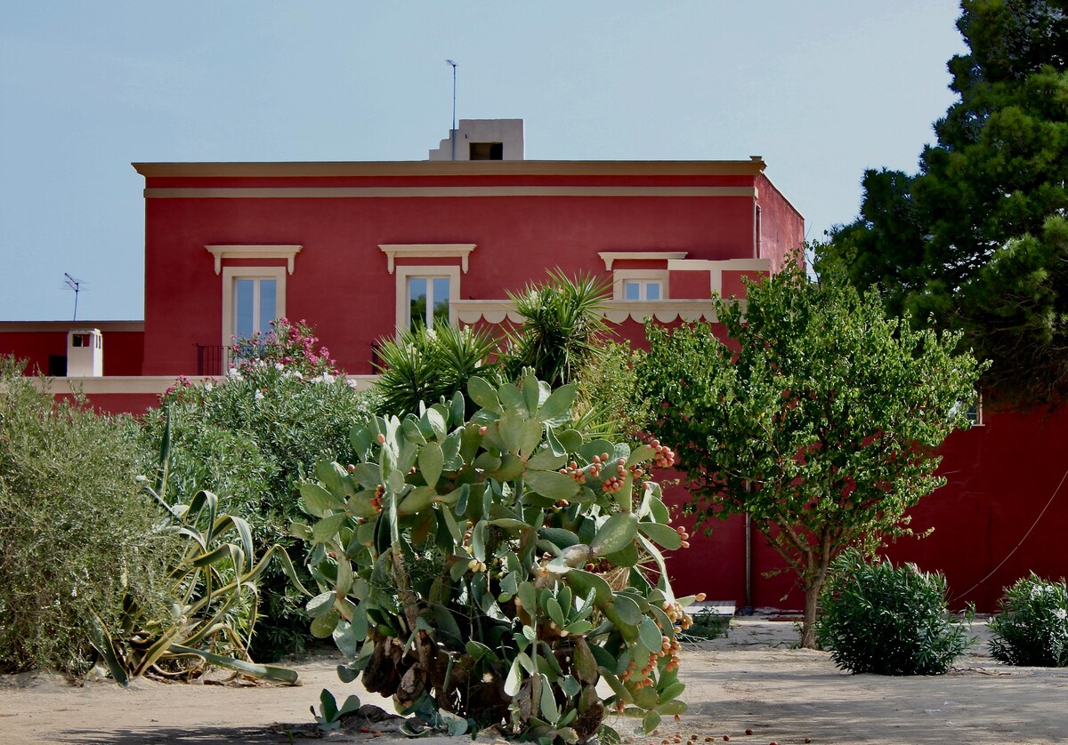 Typical Apulian farm house in the heart of Puglia