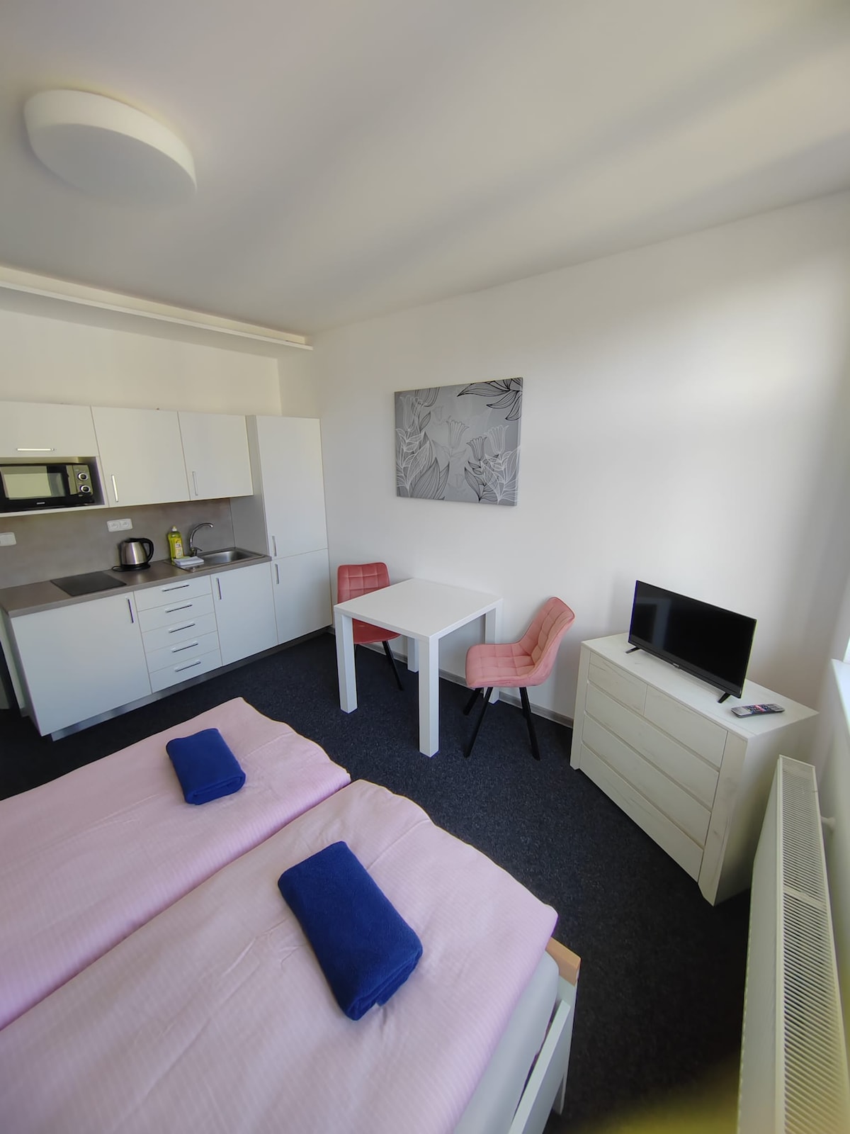 Apartmán Skořepka15 Brno centrum 406