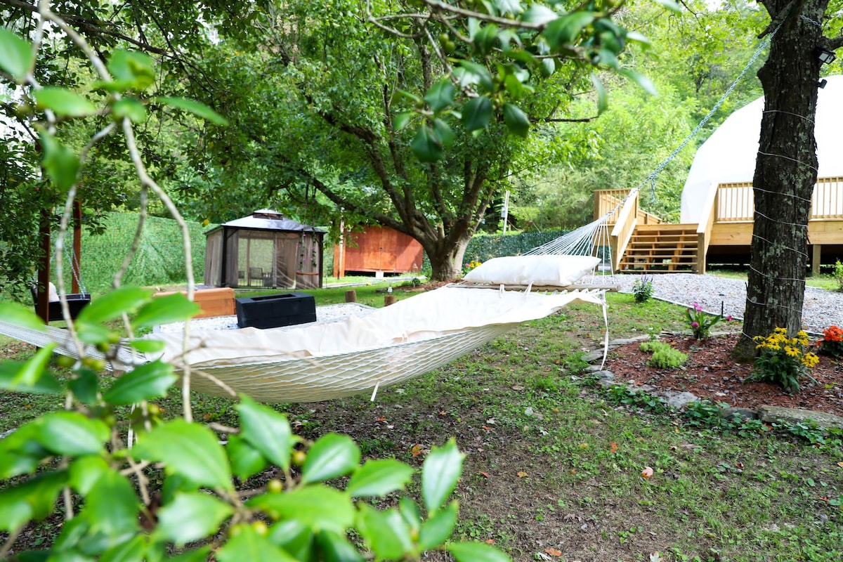 Unique find! Glamping Dome 6.9 miles to Gatlinburg