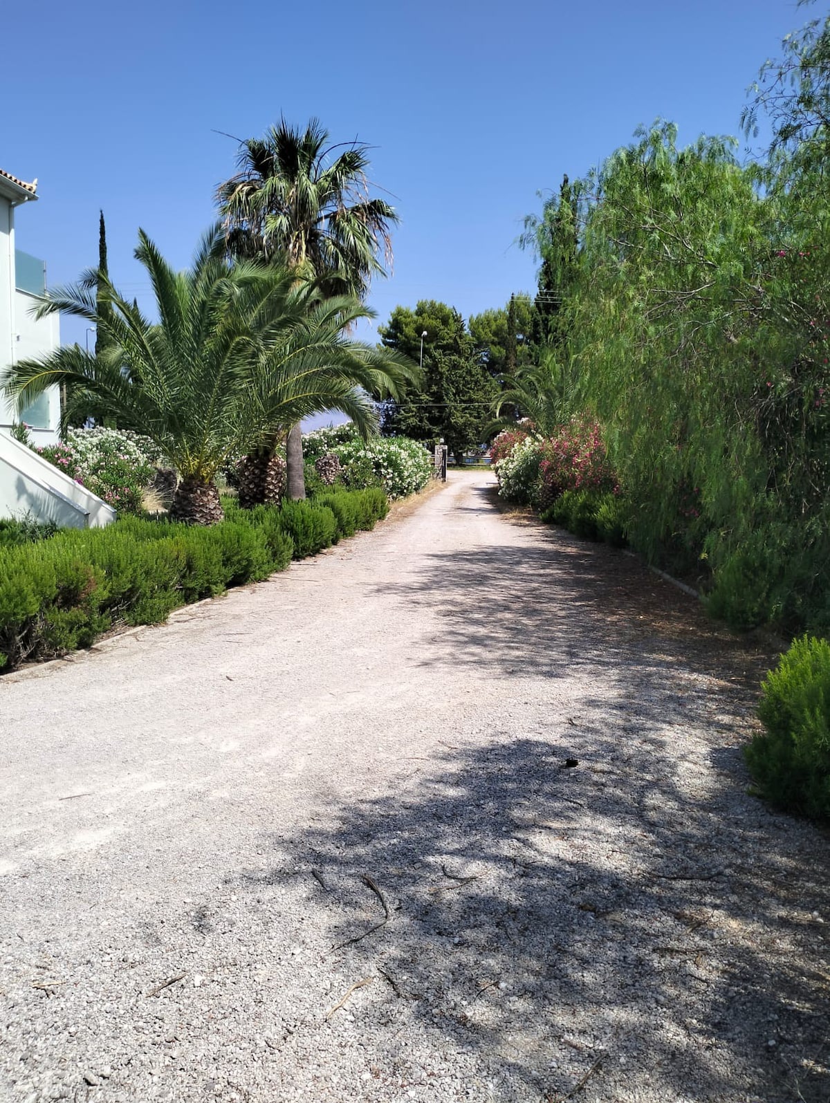 Beautiful house next to the sea in Galaxidi!