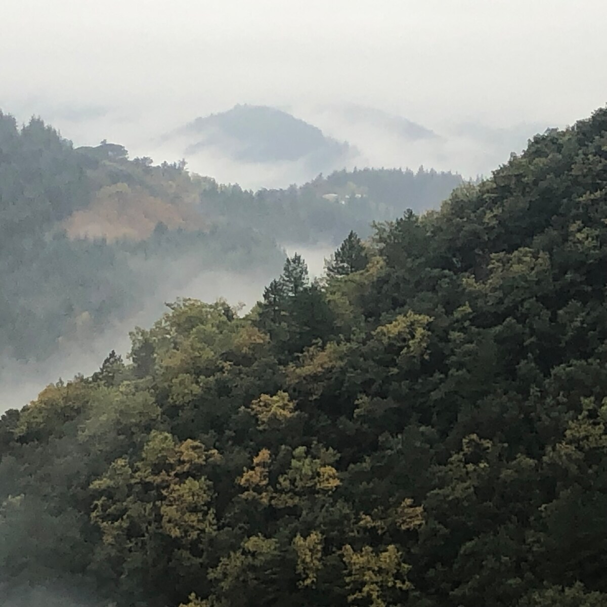 Le mas du ciel en Cévennes