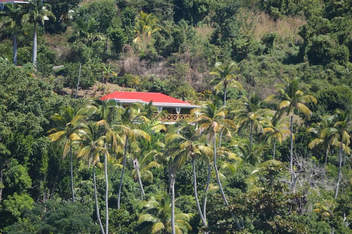 Toucari的民宿