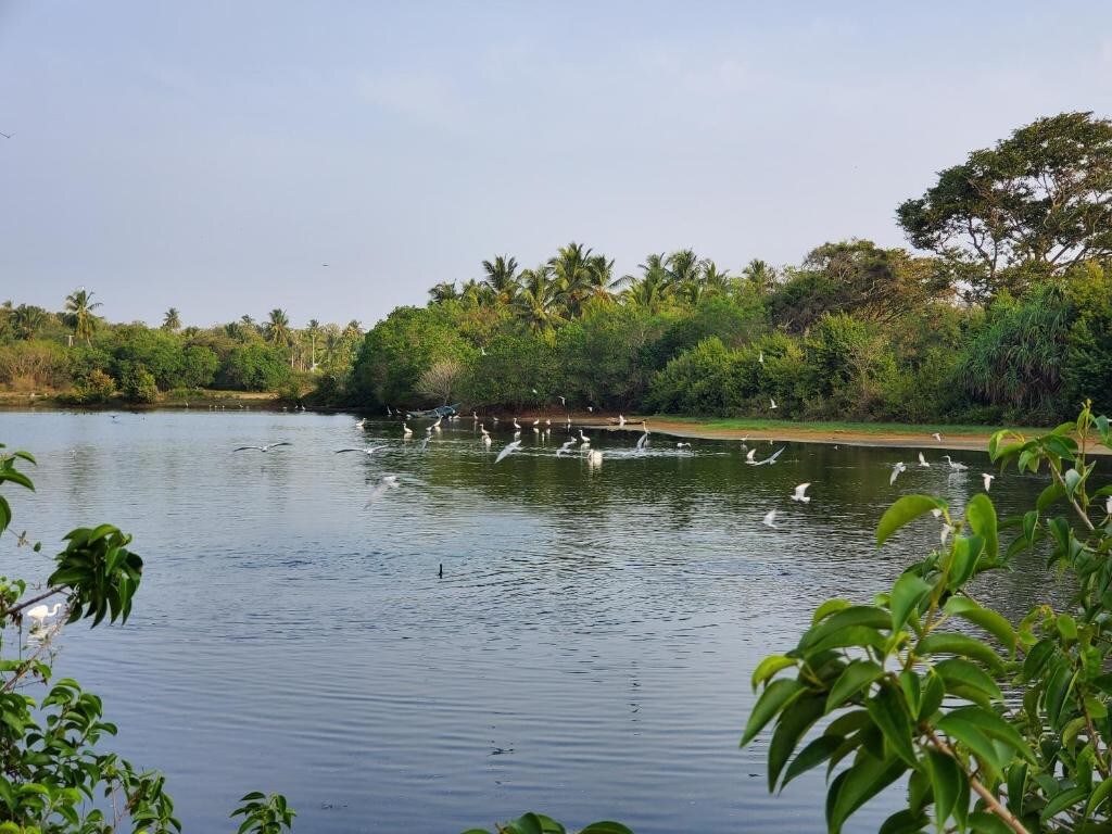 Ceylon le Luxury Villa Tangalle