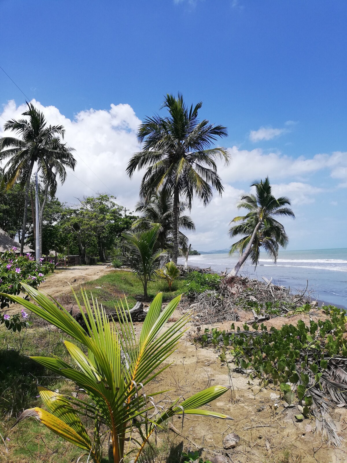 Cabaña Frente al Mar - Rio Cedro