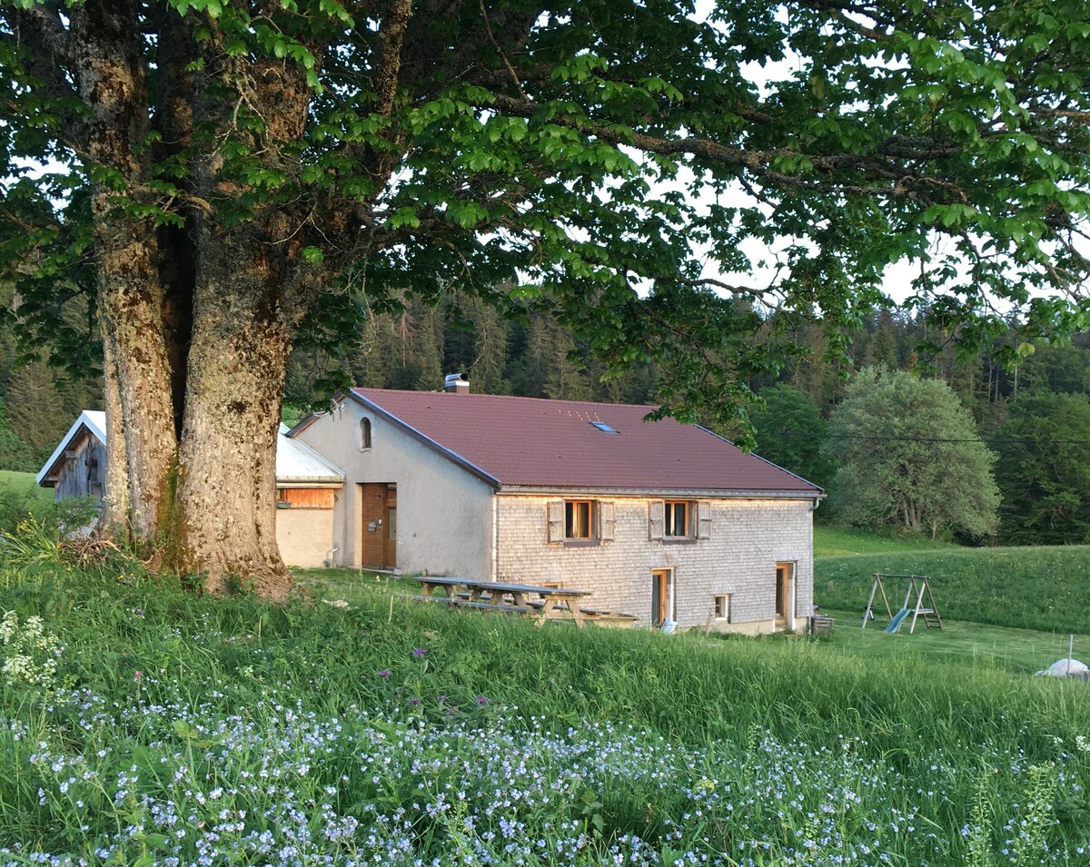 Cosy appartment in the jura mountains, La Pesse