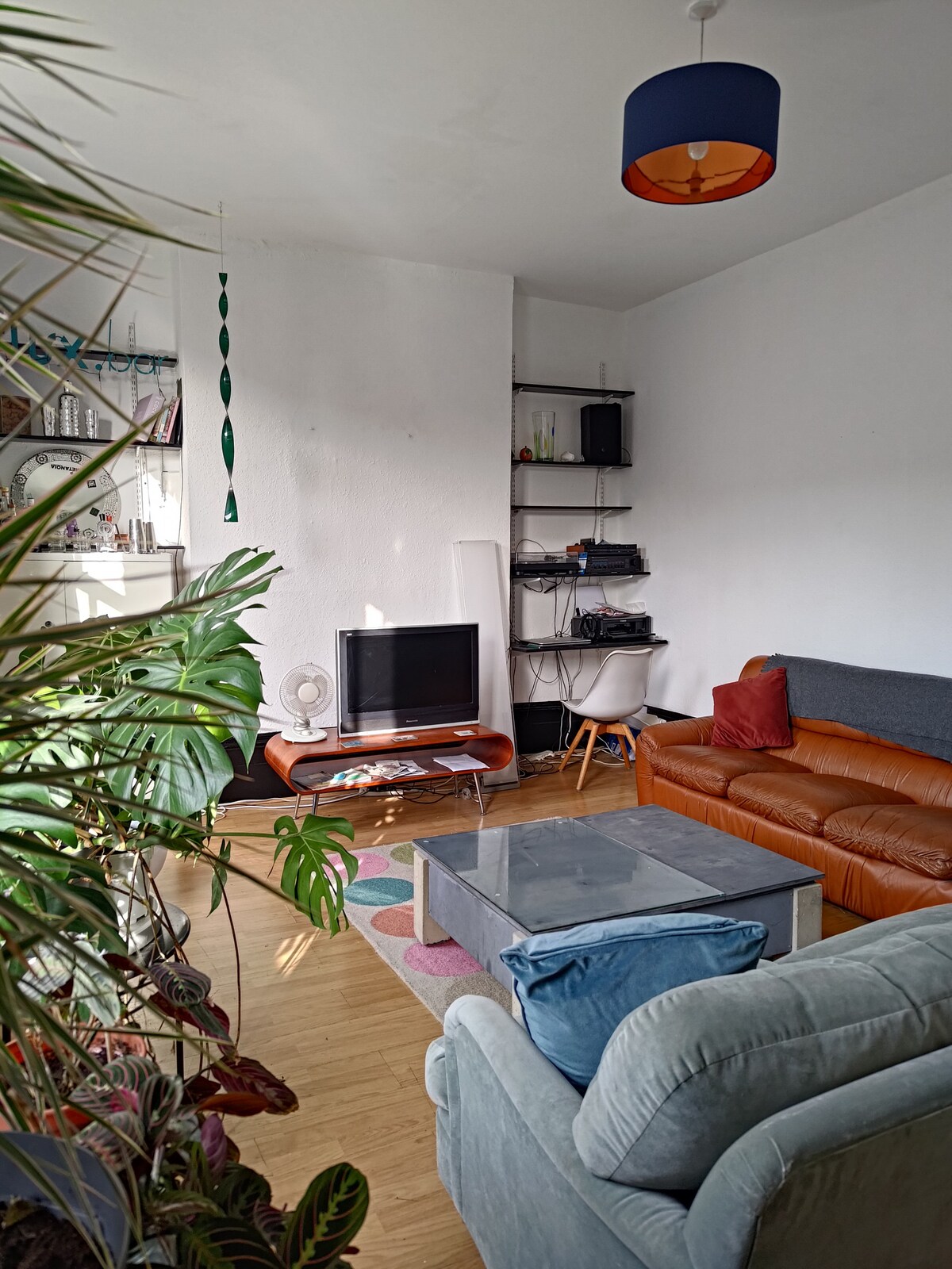 Cozy single room in Dalston flat