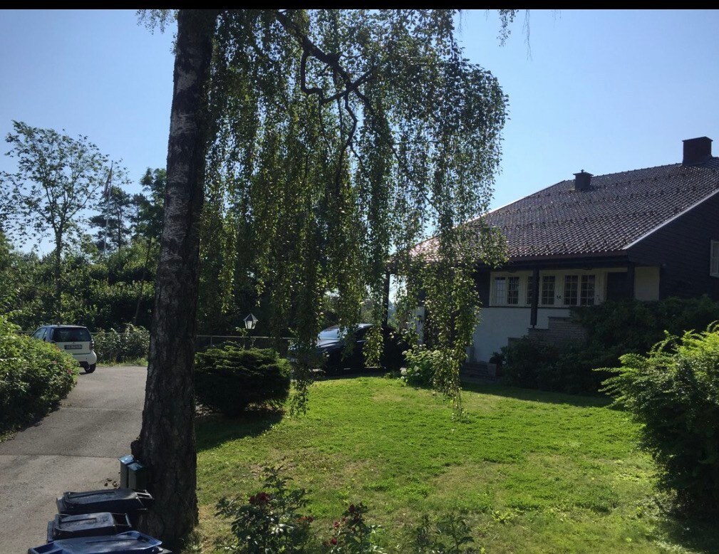 Fantastic house. Sea view near Oslo (vacant July)