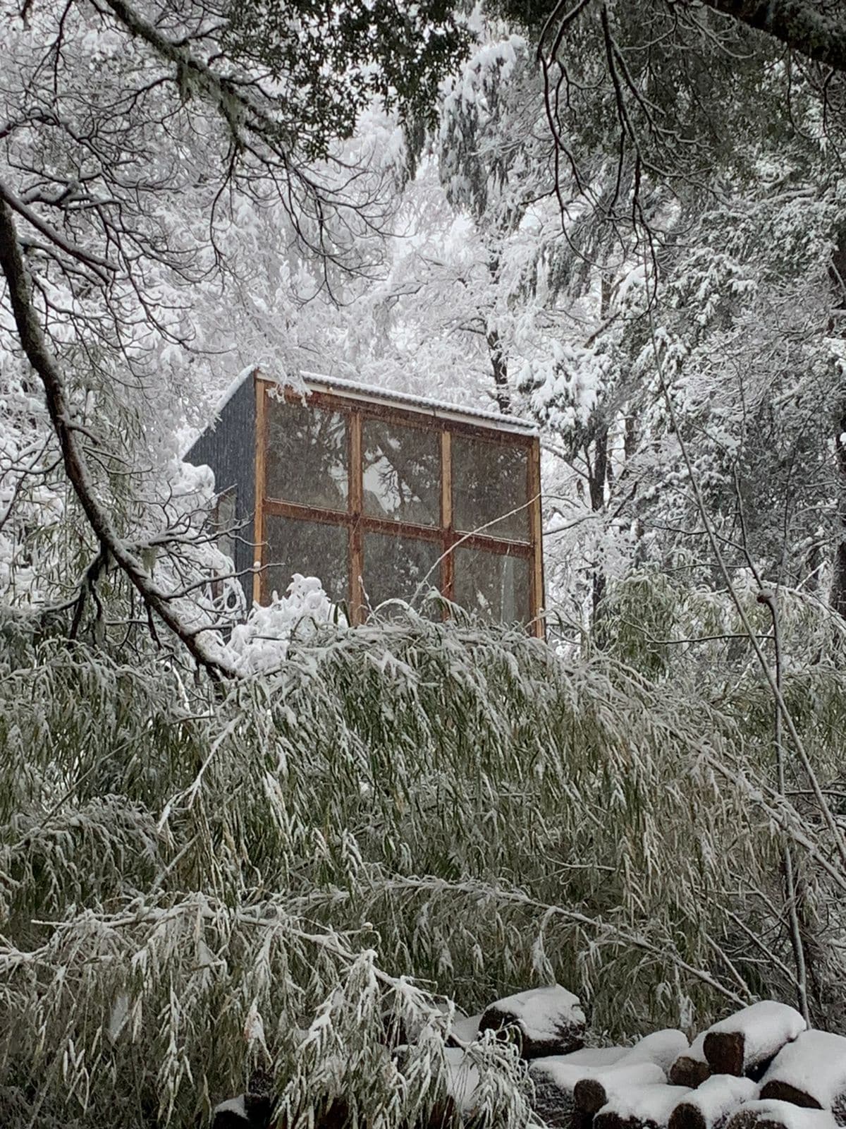 Rincón del bosque Lodge