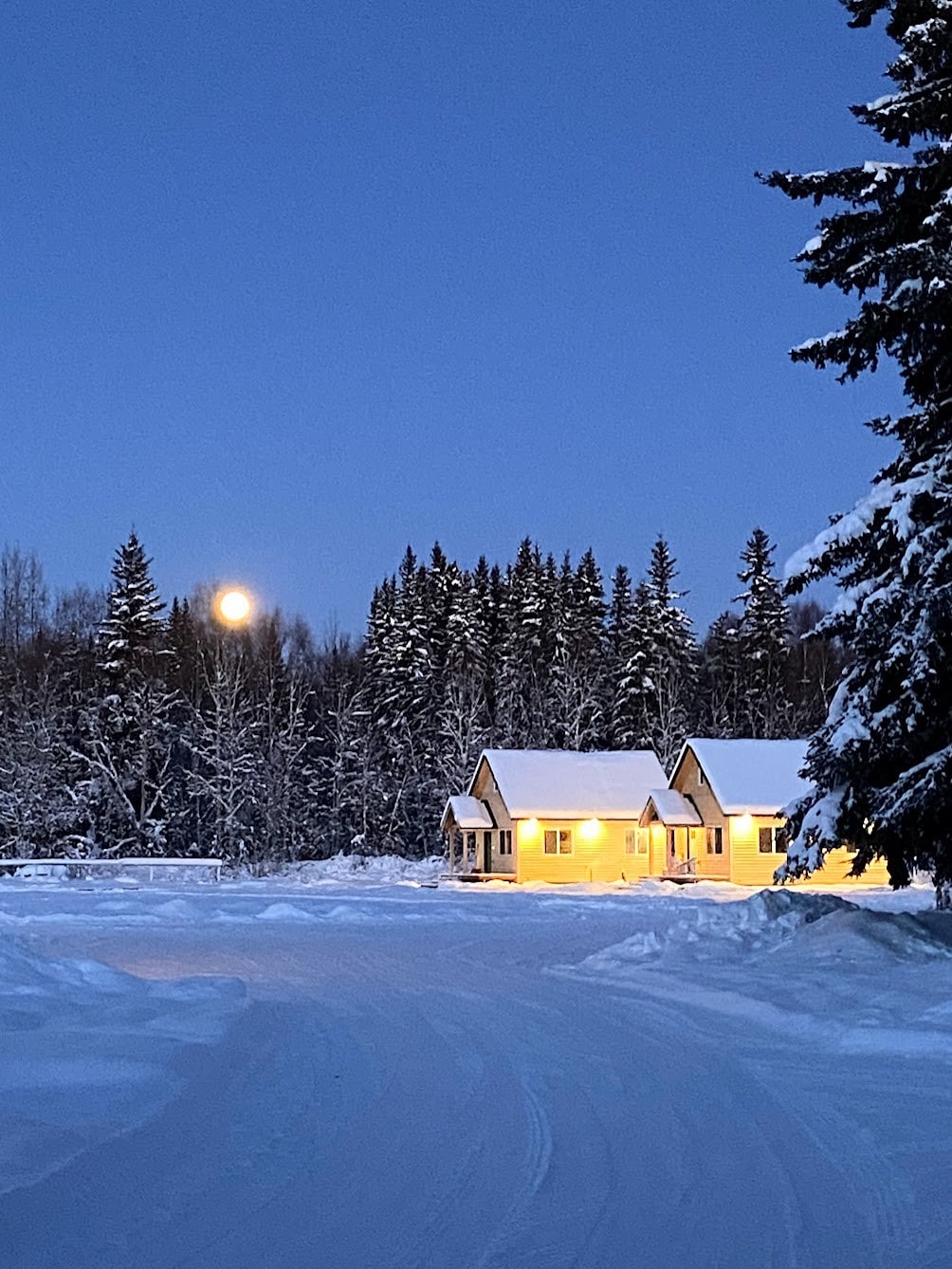 Alaskan Stable View Cottage # A