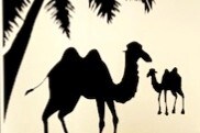 Lodge le chameau - Appt confort et élégant- rdc
