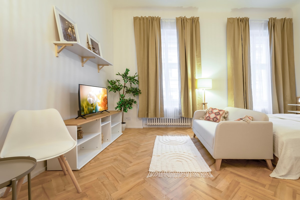 现代优雅舒适的单间公寓，位于最佳街区