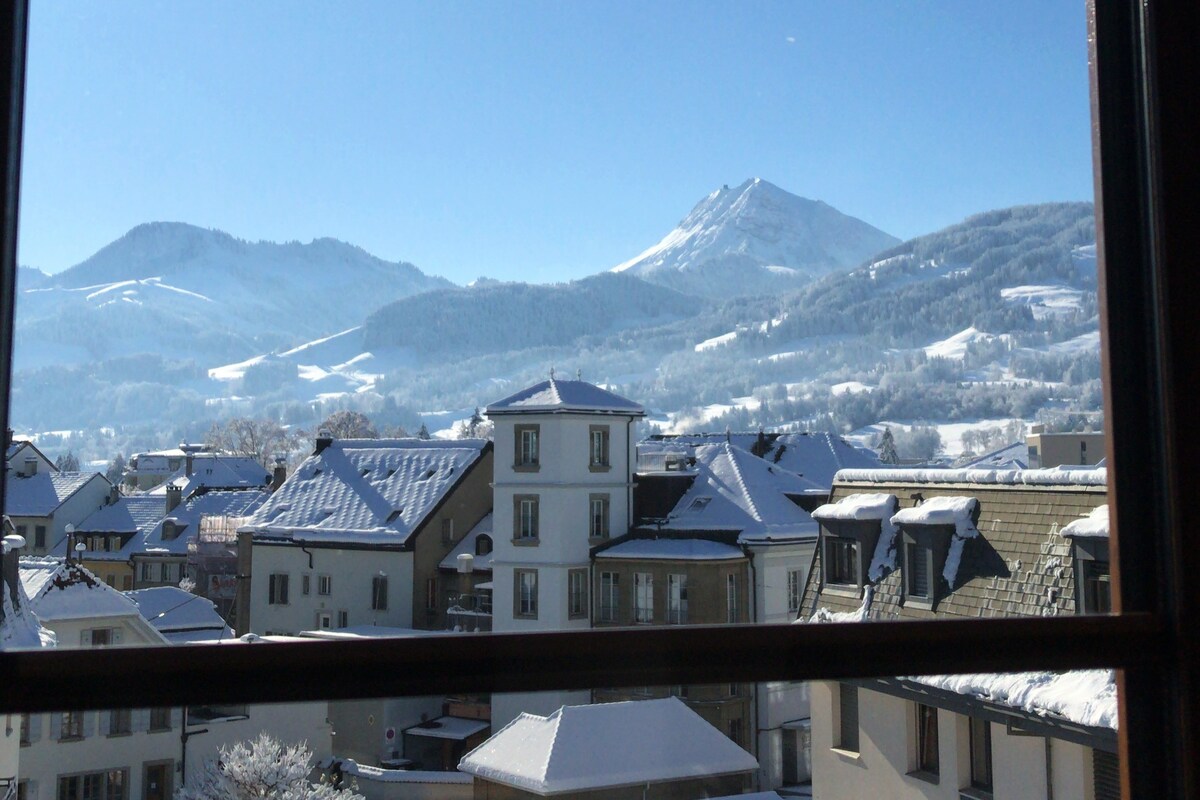 Vue panoramique montagnes et château de Bulle