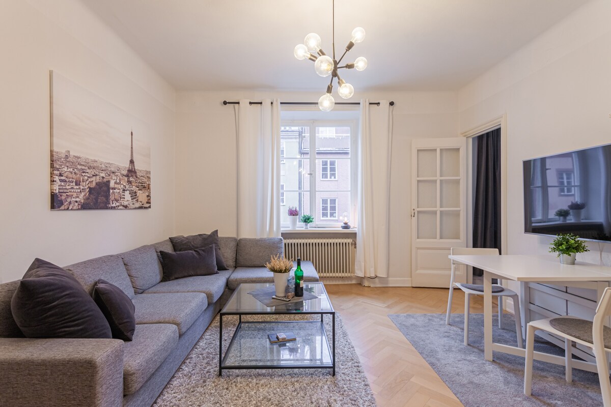 斯德哥尔摩市中心的宽敞公寓