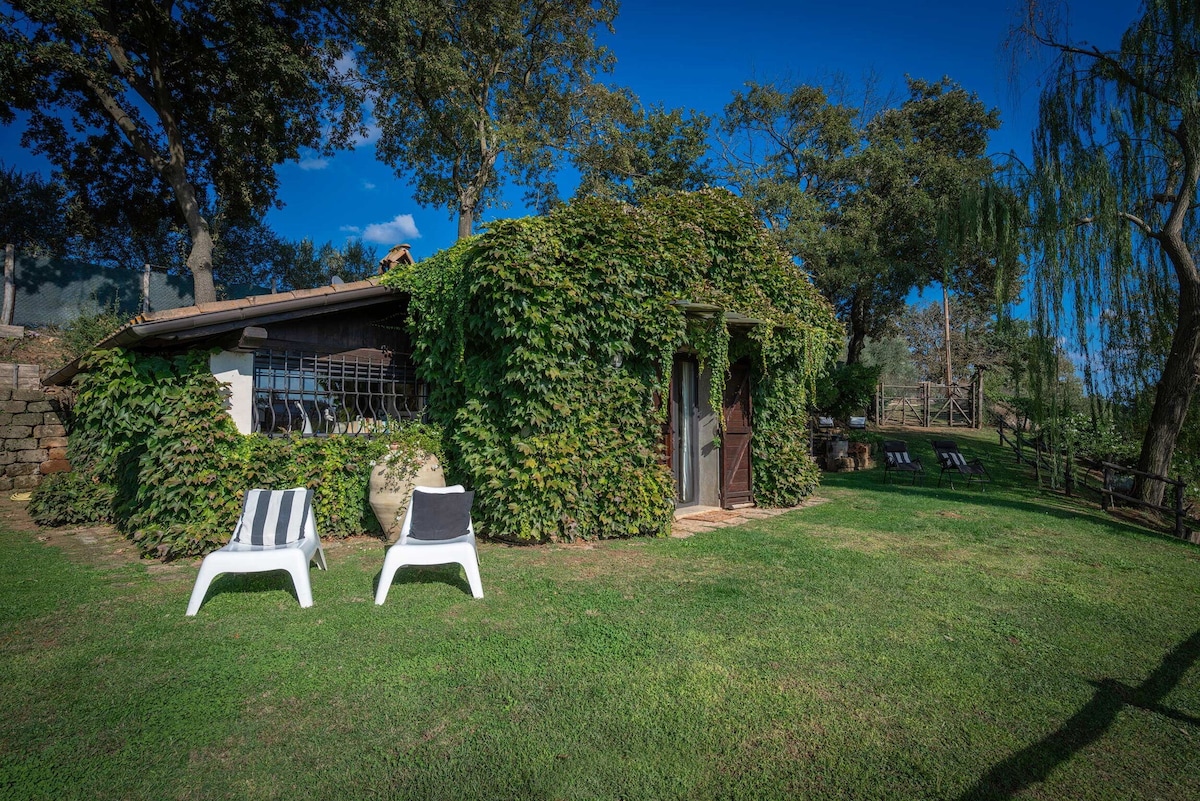 Casale delle papere with private pool near rome