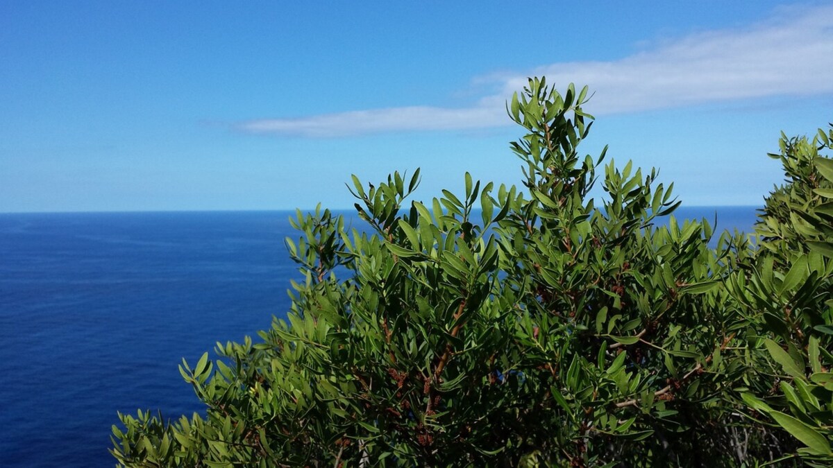 Villa Brionis: Sant'Anna flat with seaview terrace