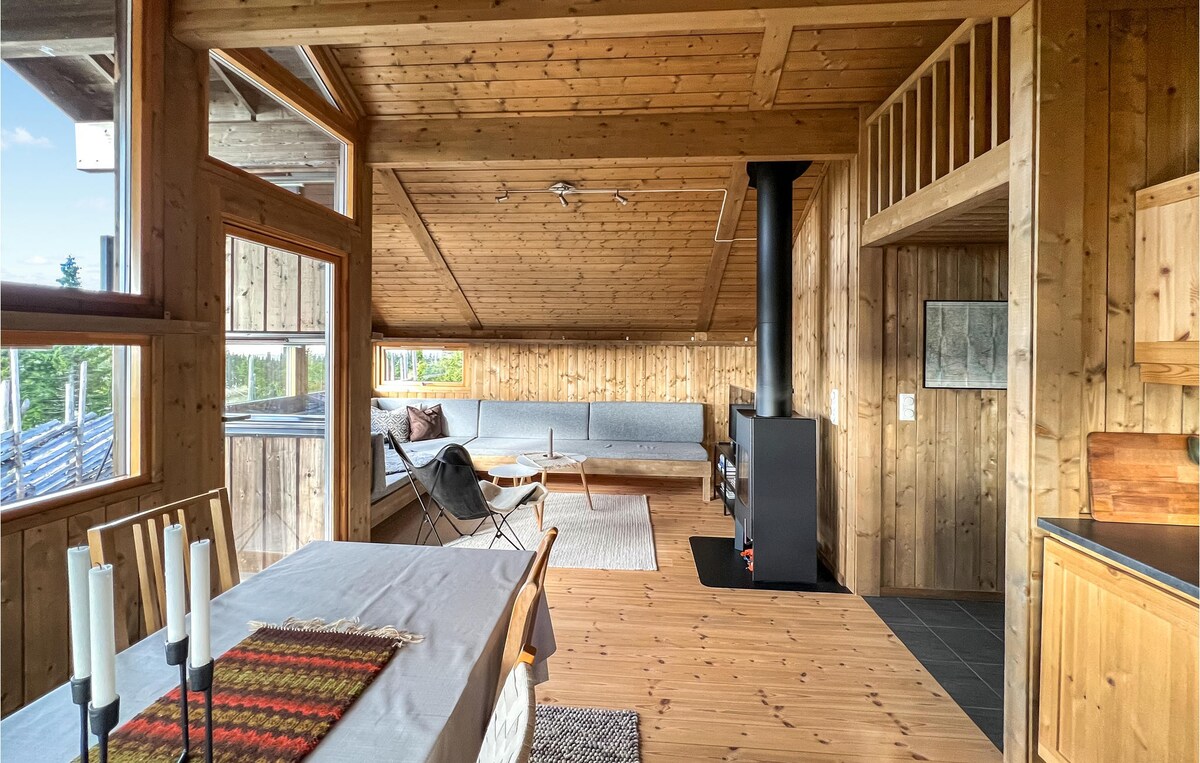 3 bedroom gorgeous home in Sjusjøen