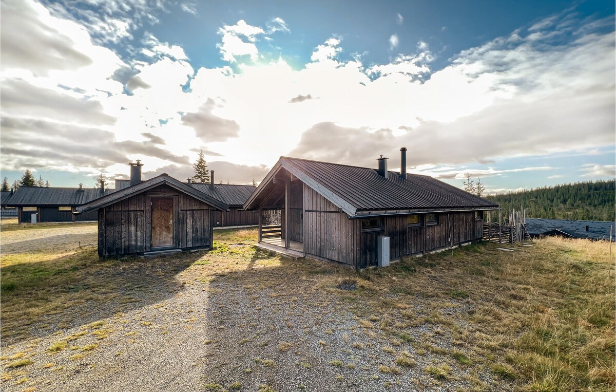 3 bedroom gorgeous home in Sjusjøen