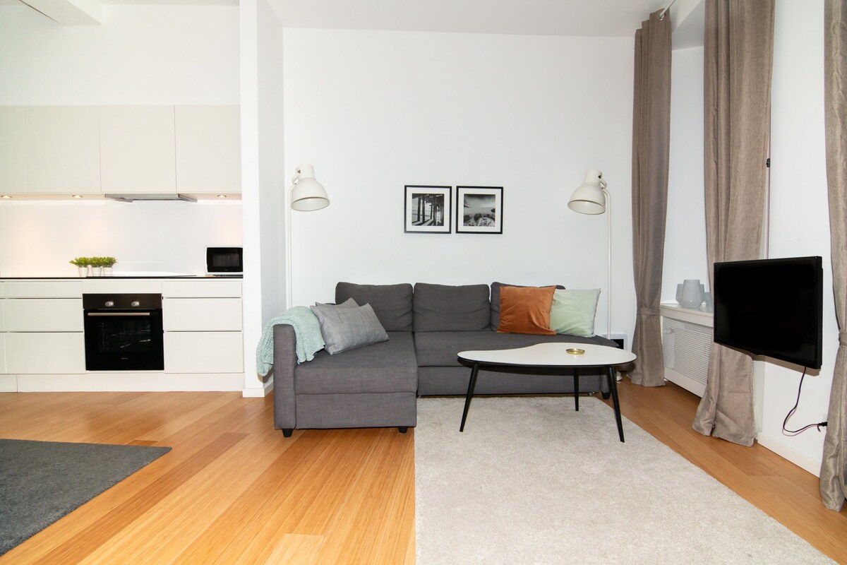 Newly renovated wonderful light apartment on