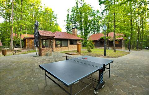 Gorgeous home in Gustelnica with kitchen