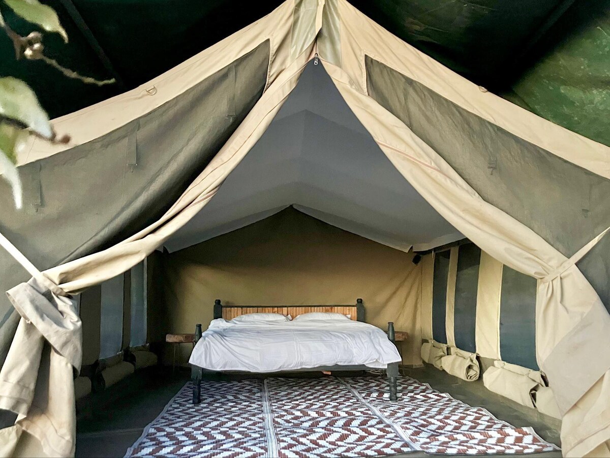 Kambu Mara Camp Comfort Tent