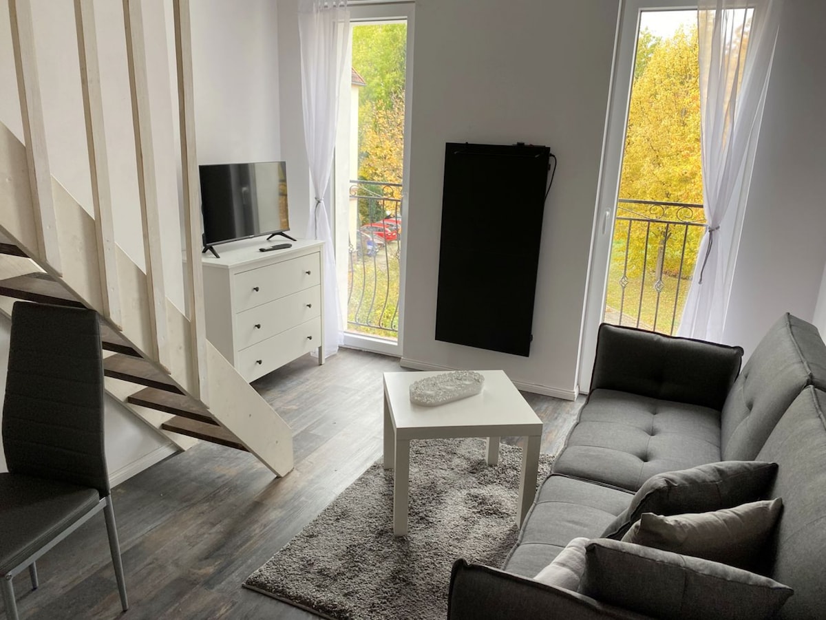 ZW24c Apartment mit WLAN in Zwickau
