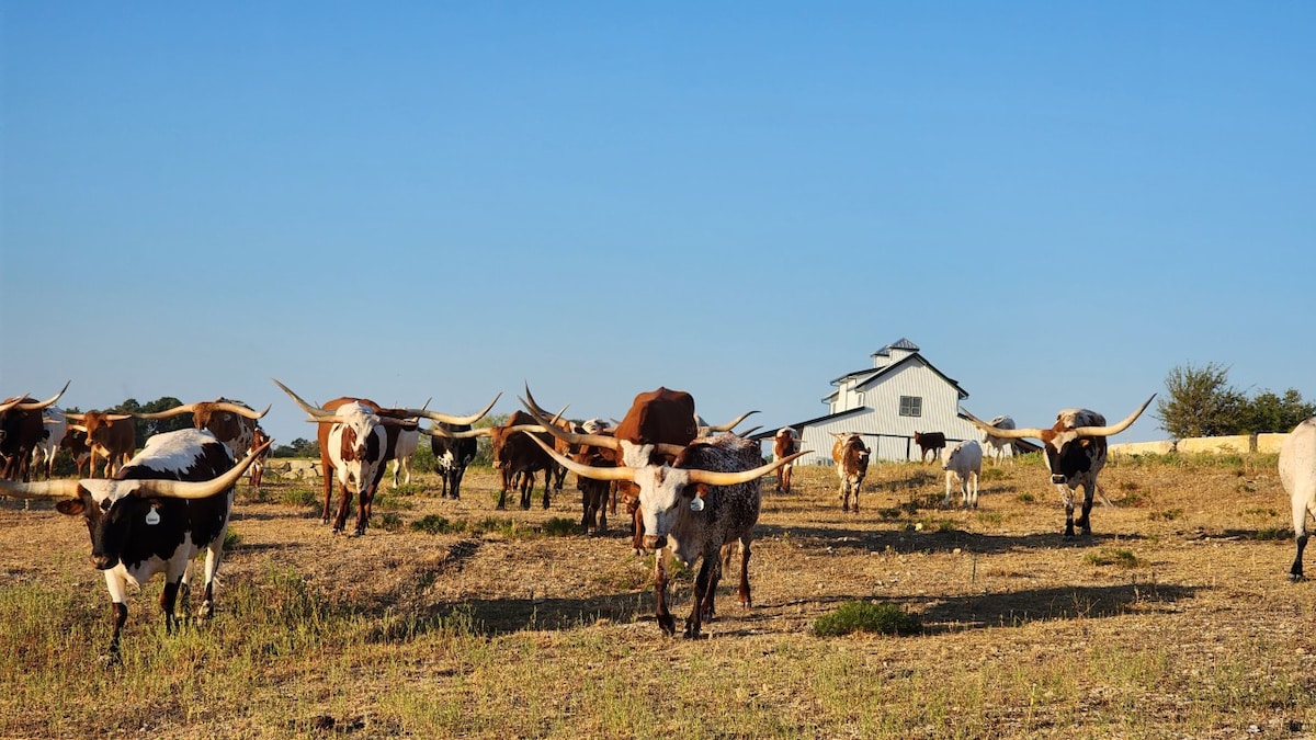 Cowboy Up-Luxury Ranch Villa at Twin Canyons Ranch