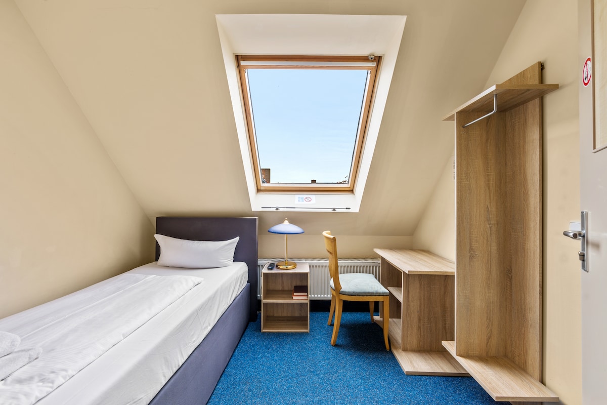 Hotel Comenius - Single Room